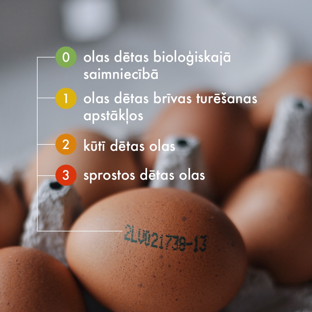 Kas jāzina pērkot, vārot un ēdot olas