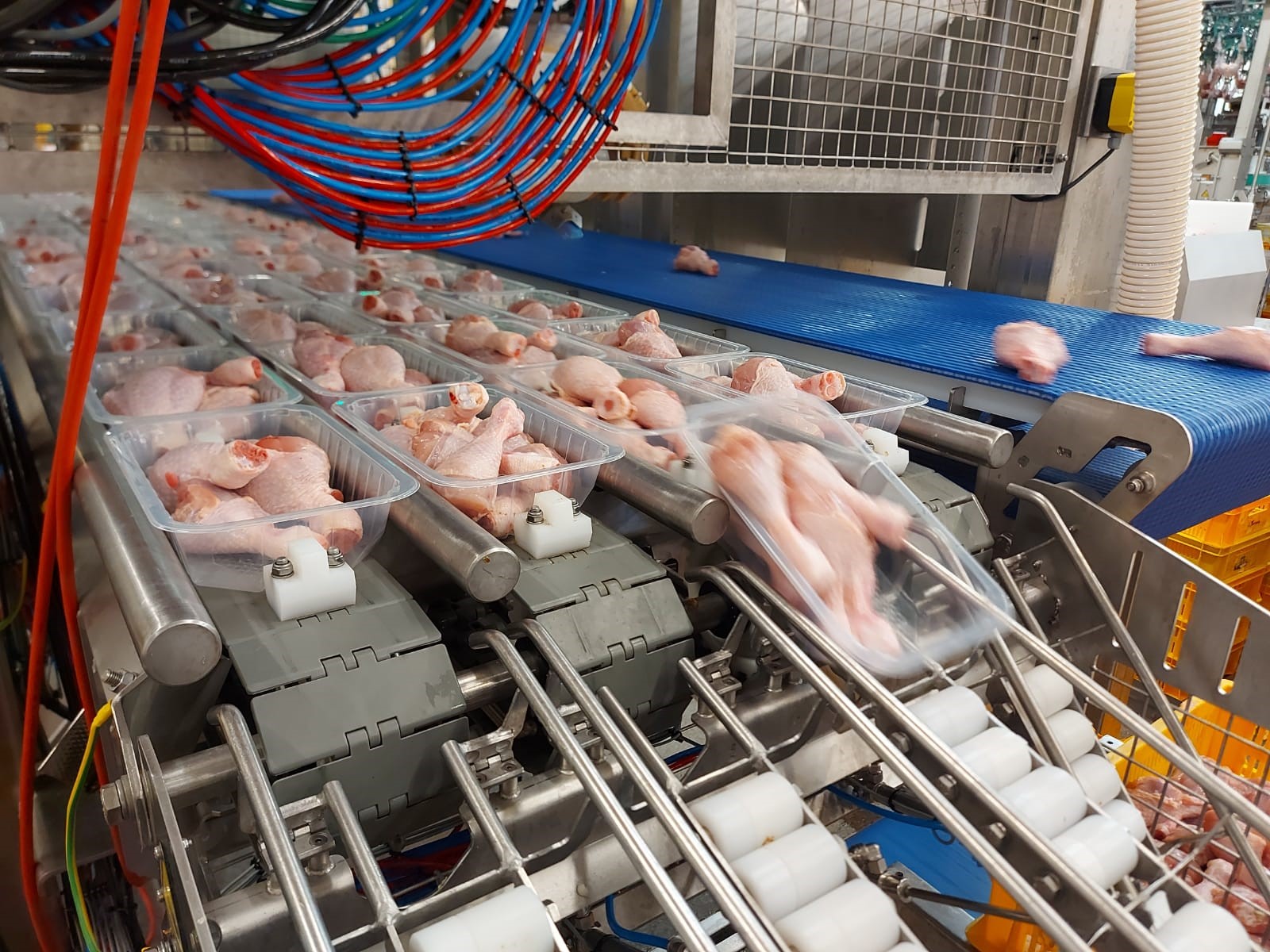 “Putnu fabrikas Ķekava” vadītājs: Putnu gaļas ražotājiem Covid-19 pandēmija radījusi pēdējos 30 gados lielāko krīzi