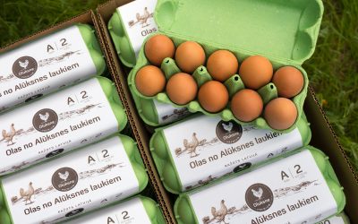 Latvijas “Gada Jaunais produkts 2020” – Oluksne kūtī dētas vistu olas