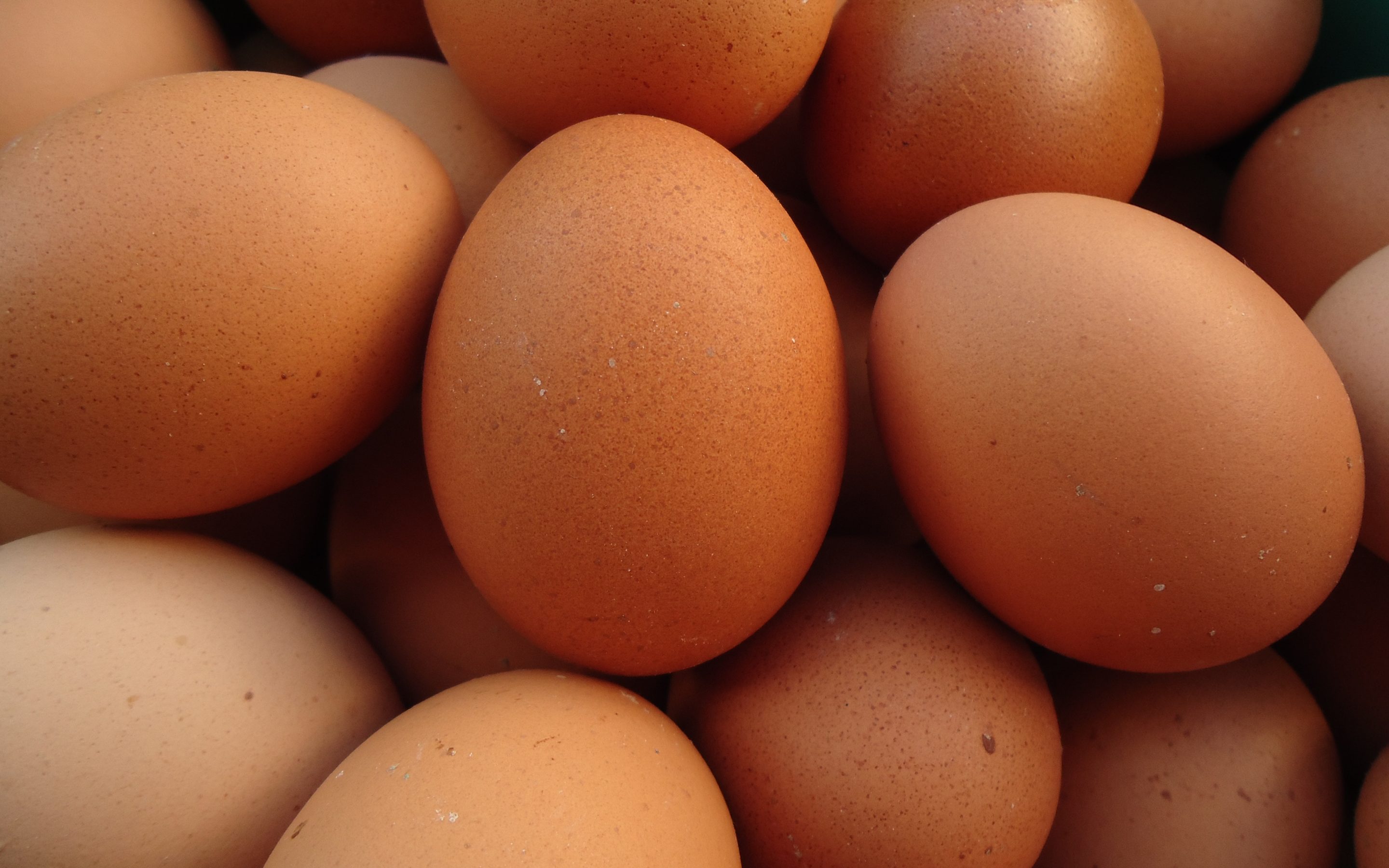 Olas – produkts ar vienu no viszemākajiem ekoloģiskās pēdas nospiedumiem