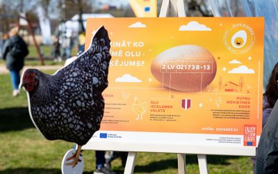 Pētījums: Latvijā  pieaugusi olu nozīme ikdienas uzturā