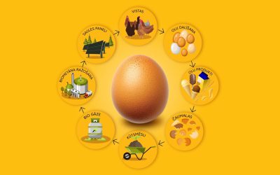 Aprites ekonomika nav nekas jauns – latvieši vienmēr ir bijuši ilgtspējas eksperti