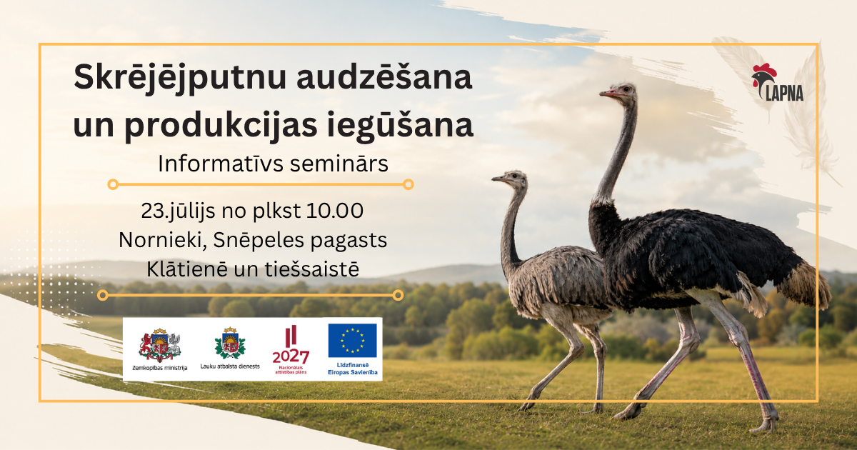 Skrējējputnu audzēšana un produkcijas iegūšana – informatīvs seminārs