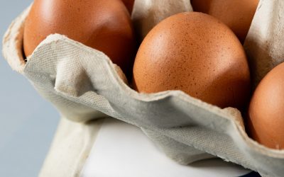 Balticovo Pasaules olu dienā aicina iepazīt, spēlēt un palīdzēt